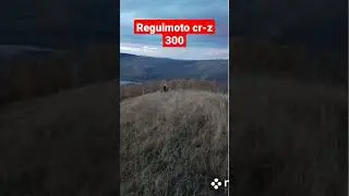 Regulmoto cr-z 300 (174 мотор) l 