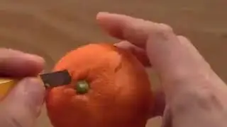 Scientific art