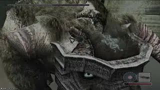 Shadow of the colossus | Second colossus