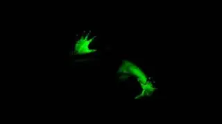 Adeptec - Shadow Method