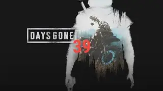 Days Gone 40