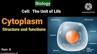 Cell: The unit of life|| Cytoplasm Structure and Functions
