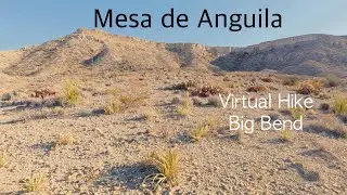 Mesa de Anguila Backpacking | Big Bend Desert Virtual Hike