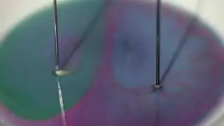 Blaukraut