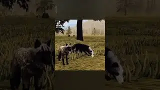 Wildcraft Тик ток✨✨✨ (видео не мое)