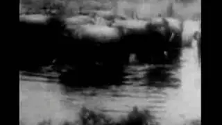 Not One of Us - Crash Test Octopus