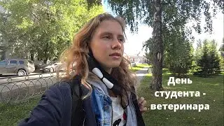 День студента-ветеринара