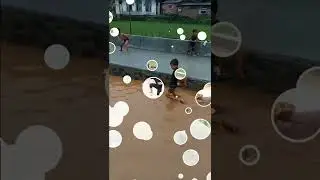 BARUDAK GARUYANG DI BURUAN