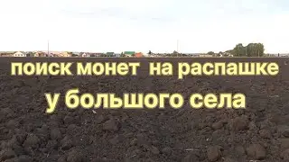 По распашке у села,не далеко от города. Кто ищет, тот всегда найдёт!!!