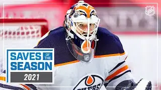 Best Saves of the 2021 NHL Season