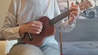 Белая гвардия Попрошайка (разбор на укулеле)