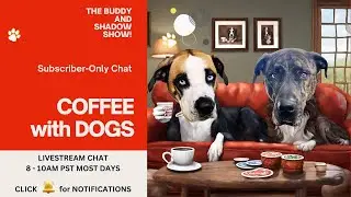 CoFFee with DoGS (Someone to talk to.)  RERUN 4-1-24 Subscribe now, chat in five minutes! Join me!