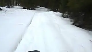 Прогулка по лесу