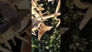 Ми з Єгором підгортаємо картоплю