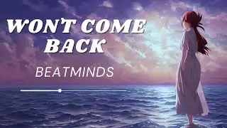 BeatMinds - Won't Come Back (Extended Summer Mix 2024)