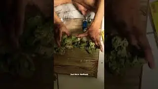 Scaping 2nd