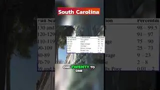 South Carolina has an Average IQ  #unitedstates #trending #viral #southcarolina #history