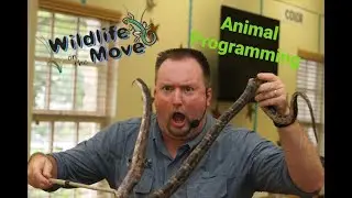 Wildlife On The Move LIVE & VIRTUAL Animal Programming - 2022