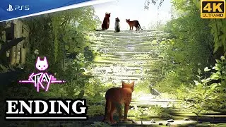 STRAY Walkthrough Gameplay PS5 [4K60] Part 6 - THE END  [FULL GAME]