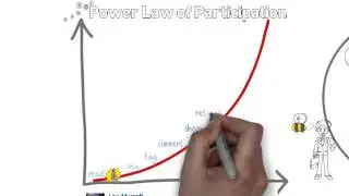 Power Law of Participation