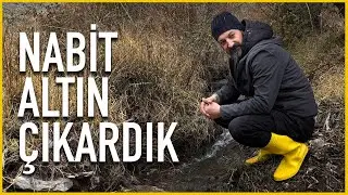 THE HIDDEN TREASURE OF THE BLACK VALLEY - Our gold prospecting adventure continues.