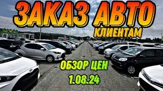 ЗАКАЗ АВТО КЛИЕНТАМ/ ОБЗОР ЦЕН 1.08.24 #automobile #автояпония #автоподбор #обзор #подборавто