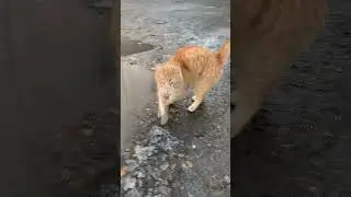 Kropotkin, Russia 🇷🇺 Кропоткин