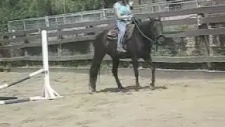 Lena Can't Ride Horses