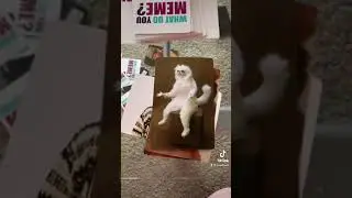 Cards against What do you meme?