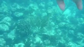 Culebra
