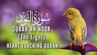 Surah An Noor|quran recitation really beautiful|quran for anxiety|stunning recitation|