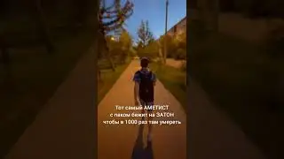 ТОТ САМЫЙ АМЕТИСТ 