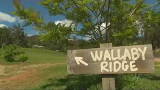 Canungra Accommodation, Gold Coast Hinterland