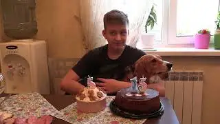 День Рождения Ильи и Габи