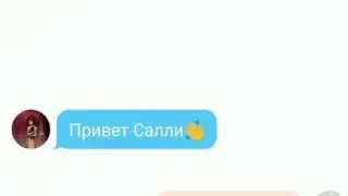 Переписка Салли Кромсали и Френ боу, Ларри