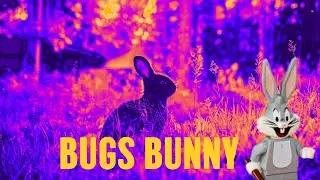 Bugs Bunny: A Guide to the Iconic Character