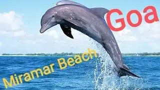 ##Miramar Beach ⛱️🏖️🏖️🏖️ Goa Dolphin 🐬🐬🐬 Ride##Dolpin Point#