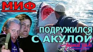 Миф о том, как рыбак подружился с большой белой акулой