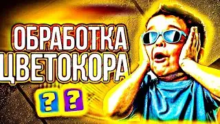 🔥КАК СДЕЛАТЬ ЦВЕТОКОР НА АНДРОИД/ КАК СДЕЛАТЬ ЦВЕТОКОР НА ТЕЛЕФОН/КАК ОБРАБОТАТЬ ФОТО НА АНДРОИД!!!