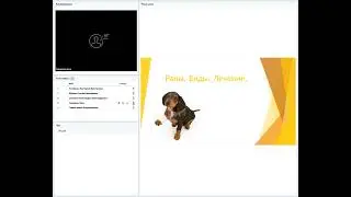 Раны у животных. Виды и лечение ран.