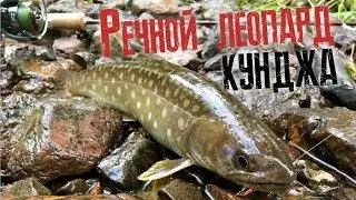 Речной леопард Сахалина!