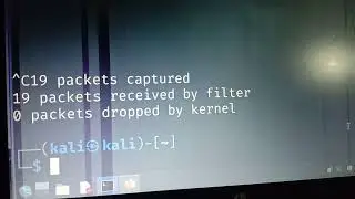 tcpdump / tshark: command-line capture, simple filters, and extracting a proof-of-concept artifact.
