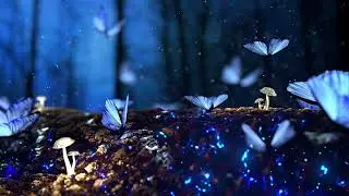Enchanted Forest ASMR Soundscape