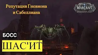 Босс ШАС'ИТ | World of Warcraft: Dragonflight