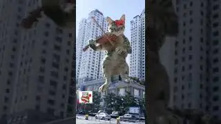 Маленький Чепусик с Небес играет для своей сестрёнки Вербуси на скрипке 👼🌈😻🎻❤️