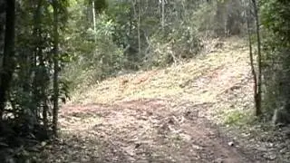 MOV015