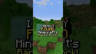 RAREST Block in MINECRAFT (0.00001%)