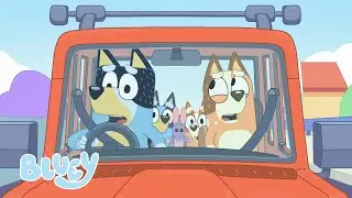 👩‍❤️‍👨 Il meglio dei genitori di Bluey 🏆 | Bluey Italiano Canale Ufficiale 💙 🇮🇹