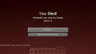 Minecraft MANHUNT but PvP is... turned off?