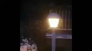 Шейх Хамис аз Захрани Смерть